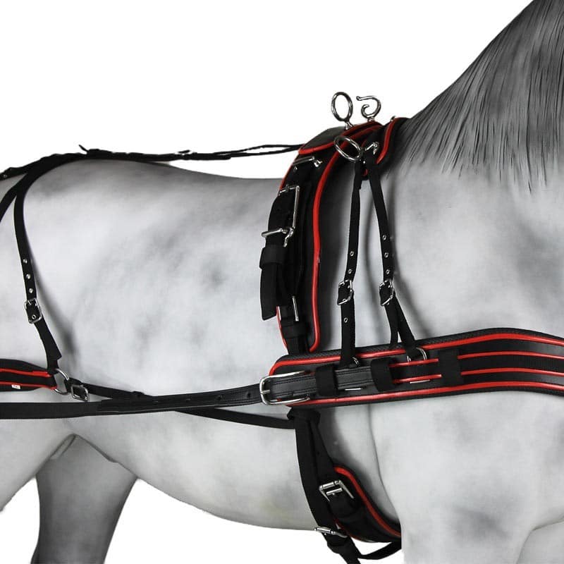 Enganche Sintético Combinado Pecherín Anatómico - Tienda Hípica Online | D’Hispania ®