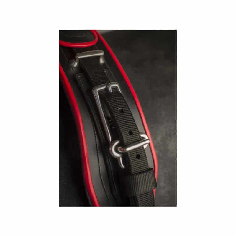 Enganche limonera nylon iQuus SHETY - Tienda Hípica Online | D’Hispania ®