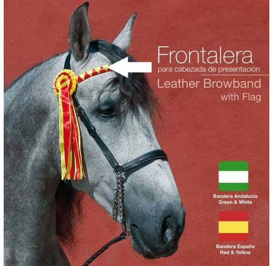 FRONTALERA PARA CABEZADA PRESENTACIÓN - Tienda Hípica Online | D’Hispania ®