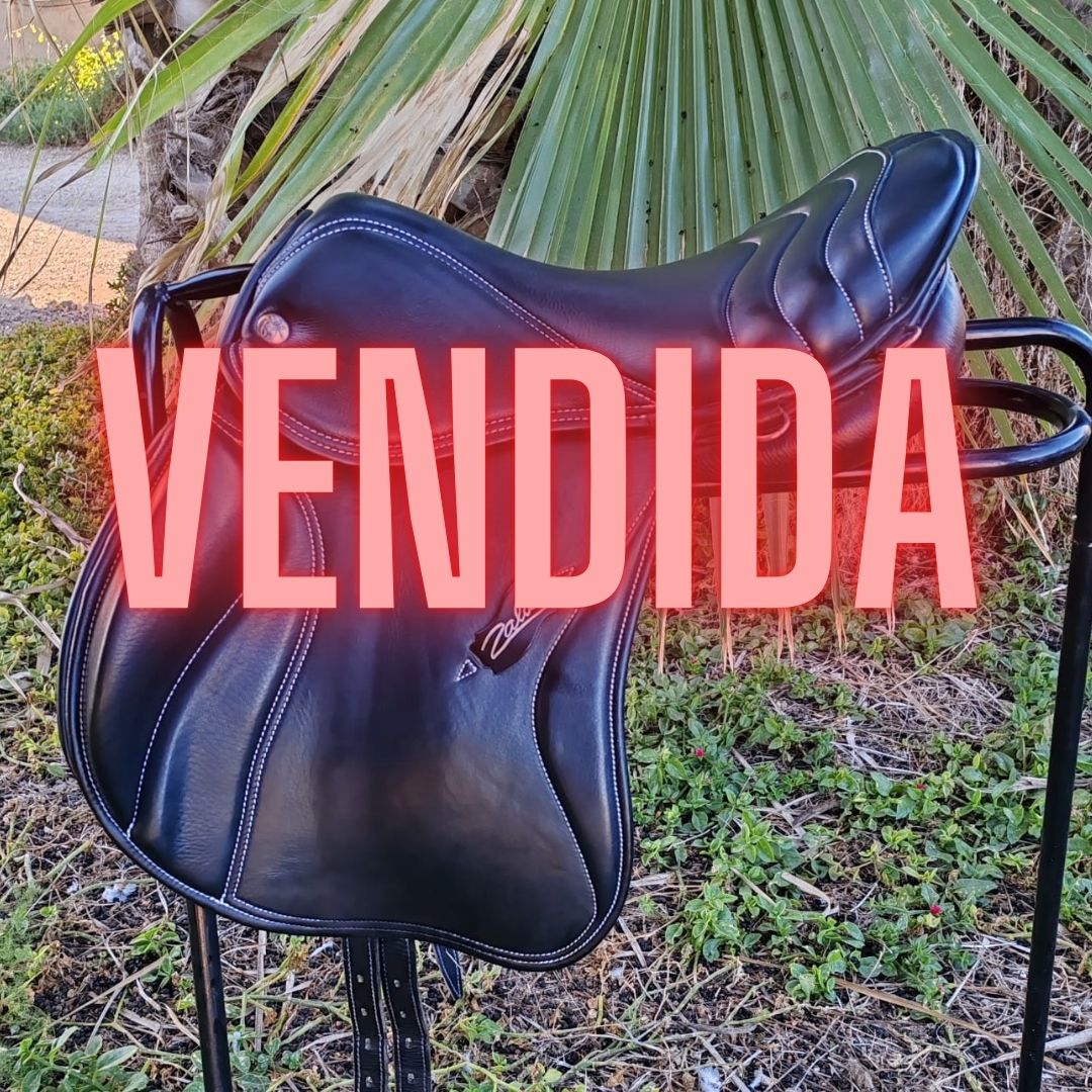 Ocasion Silla Zaldi Endurance Sabbatan 17'' - Tienda Hípica Online | D'Hispania ®
