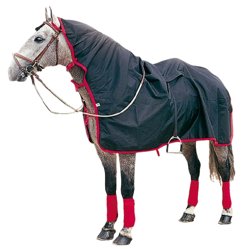 MANTA LLUVIA IMPERMEABLE LIPPO 600 - Tienda Hípica Online | D’Hispania ®