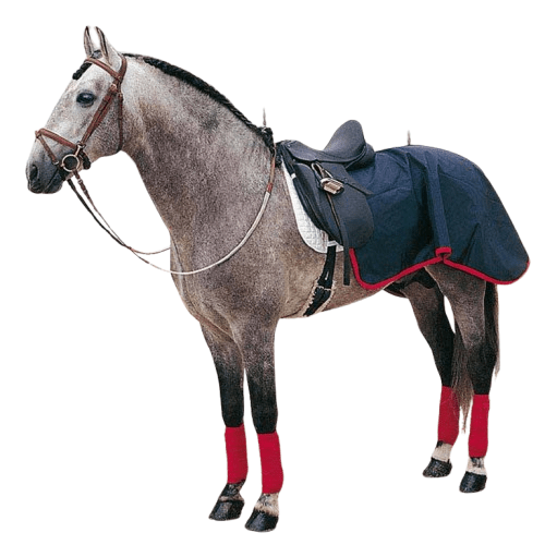 MANTA RIÑONERA IMPERMEABLE LIPPO 620 - Tienda Hípica Online | D’Hispania ®