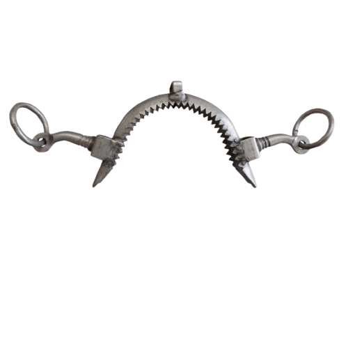 MUSEROLA VAQUERA TORNO PILARES LARGOS INOX - Tienda Hípica Online | D’Hispania ®