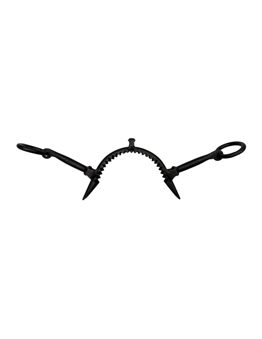 Muserola 2 Pilares Pasadores Metálicos Fragua Inoxidable Pavonada - Tienda Hípica Online | D’Hispania ®