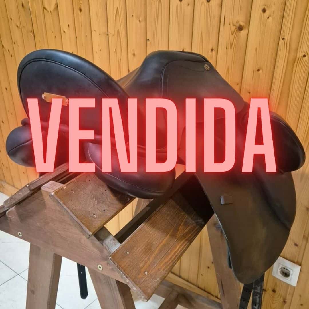 OCASIÓN Silla Inglesa Doma Berlin 17.5 - Estado Perfecto - Tienda Hípica Online | D’Hispania ®
