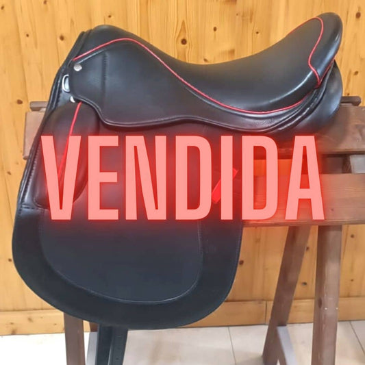 OCASION SILLA INGLESA USO GENERAL - Tienda Hípica Online | D’Hispania ®