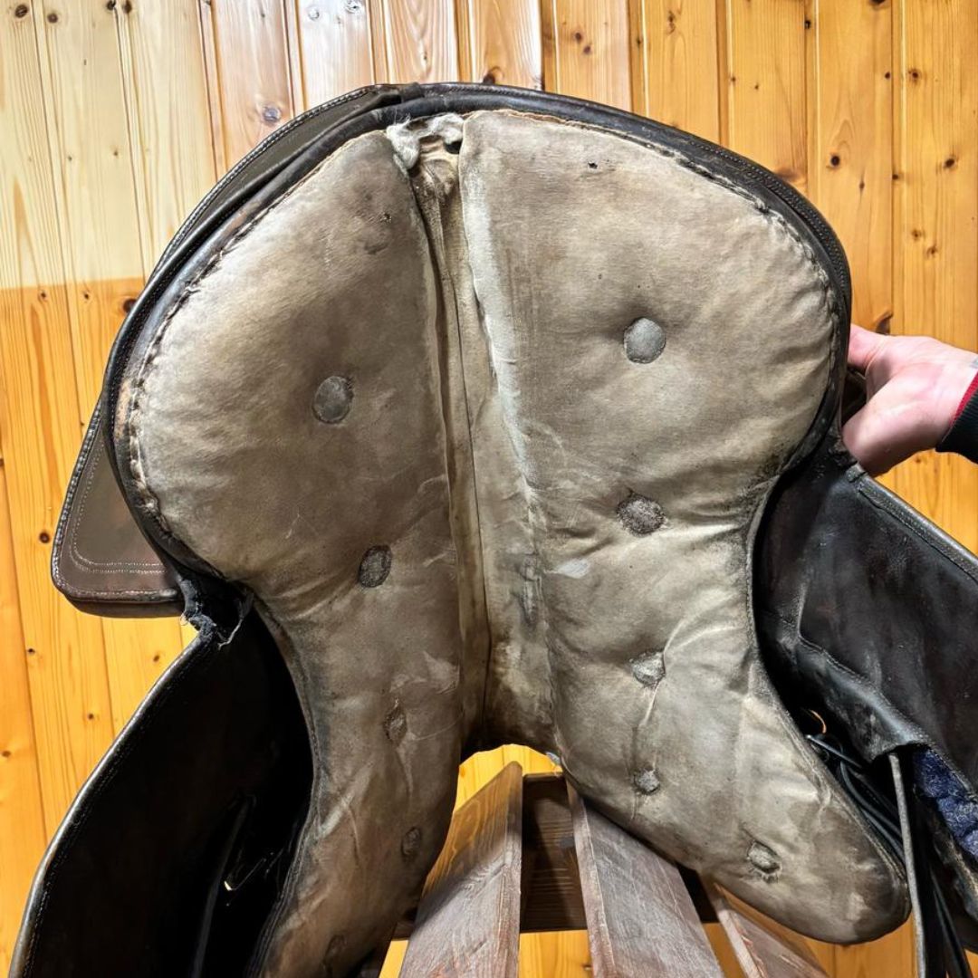 OCASION SILLA POTRERA LUCAS ELASTICA - Tienda Hípica Online | D’Hispania ®