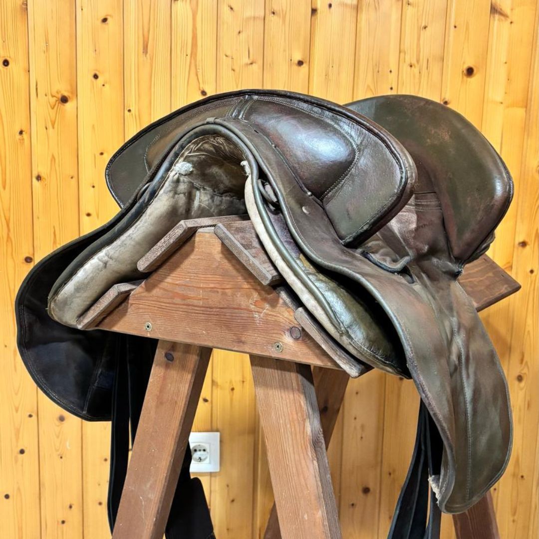 OCASION SILLA POTRERA LUCAS ELASTICA - Tienda Hípica Online | D’Hispania ®