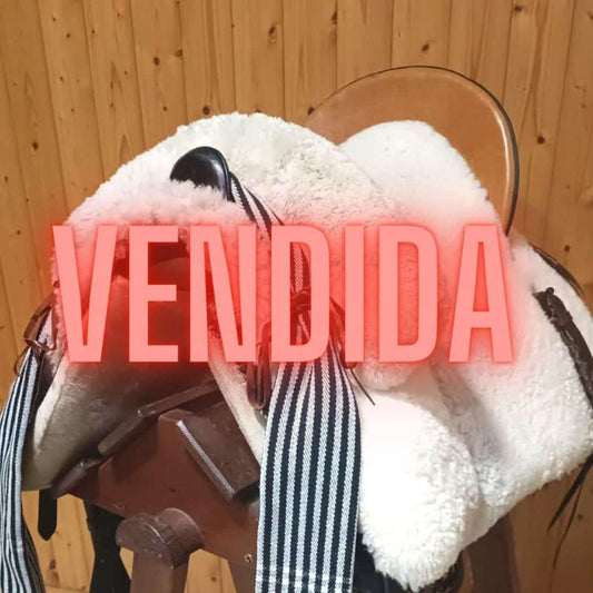 OCASION SILLA VAQUERA MIXTA FIBRA - Tienda Hípica Online | D’Hispania ®