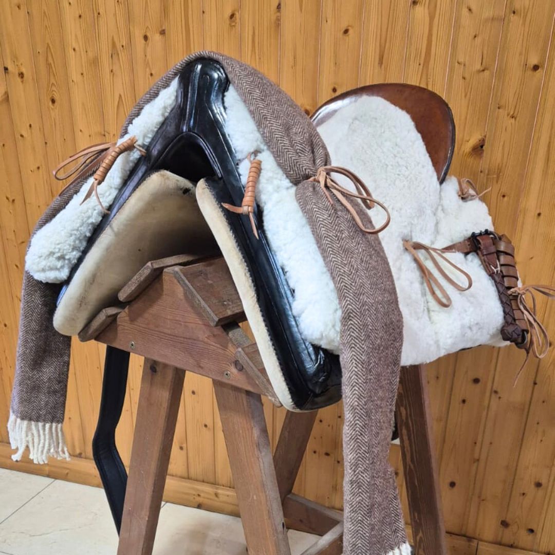 Ocasión Silla Vaquera Fibra Lucas - Rallada Usada Revisada 50cm Negro - Tienda Hípica Online | D’Hispania ®