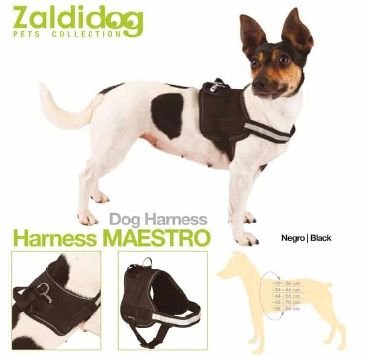 PERRO HARNESS MAESTRO NEGRO - Tienda Hípica Online | D’Hispania ®