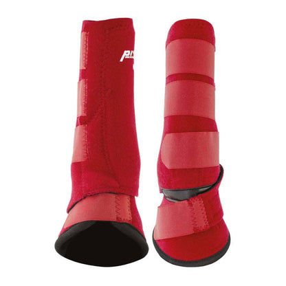 PROTECTOR PROTECH + CAMPANA COMBI - Tienda Hípica Online | D’Hispania ®