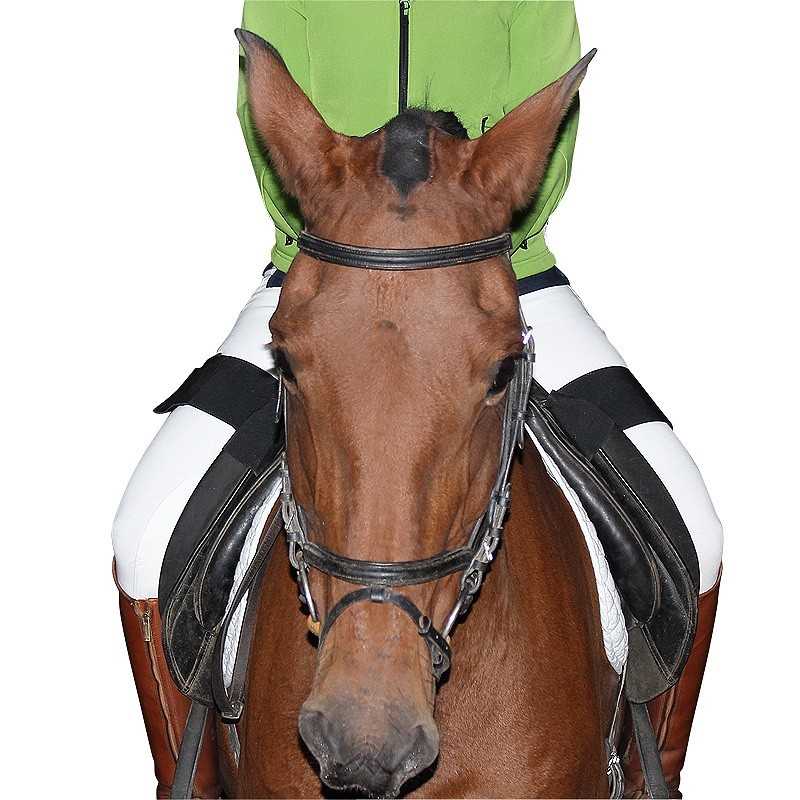 RIDING SECURITY BAND - Tienda Hípica Online | D’Hispania ®