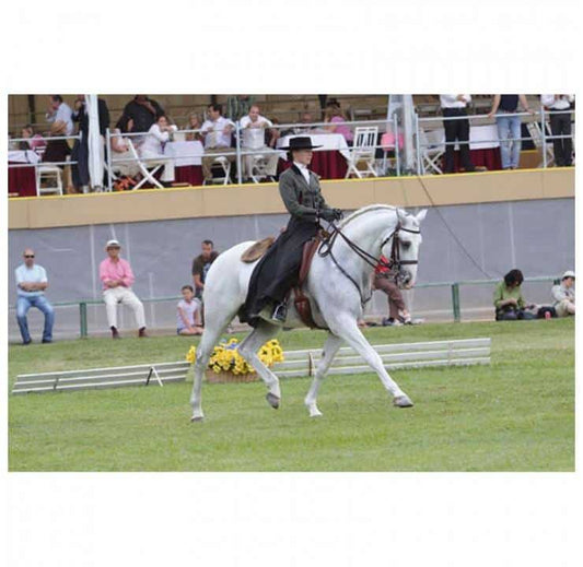 TRAJE PORTUGUÉS CHALECO CABALLERO NEGRO - Tienda Hípica Online | D’Hispania ®