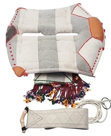 Kit completo de albarda con cincha y ropón