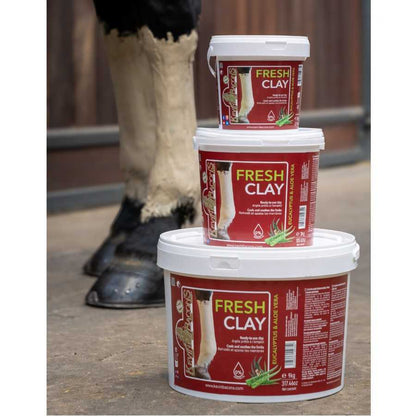 Arcilla Kevin Bacon's Fresh Clay para caballos con eucalipto y aloe vera, en envase de color verde y diseño natural.