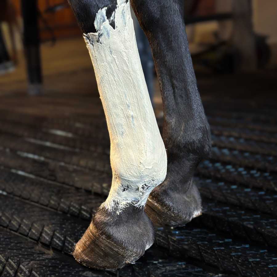 Arcilla Kevin Bacon's Fresh Clay con eucalipto y aloe vera para cuidados y salud del caballo, presenta una textura cremosa y natural.