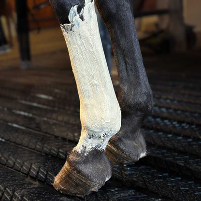 Arcilla Kevin Bacon's Fresh Clay con eucalipto y aloe vera para cuidados y salud del caballo, presenta una textura cremosa y natural.