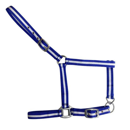 Cabezada de Nylon Sencilla para Caballo | Ajustable con Hebillas - Tienda Hípica Online | D'Hispania ®