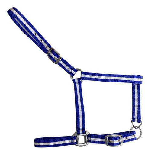 Cabezada de Nylon Sencilla para Caballo | Ajustable con Hebillas - Tienda Hípica Online | D'Hispania ®