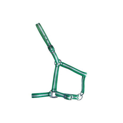 Cabezada de Nylon Sencilla para Caballo | Ajustable con Hebillas - Tienda Hípica Online | D'Hispania ®