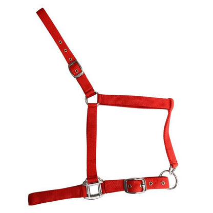 Cabezada de Nylon Sencilla para Caballo | Ajustable con Hebillas - Tienda Hípica Online | D'Hispania ®