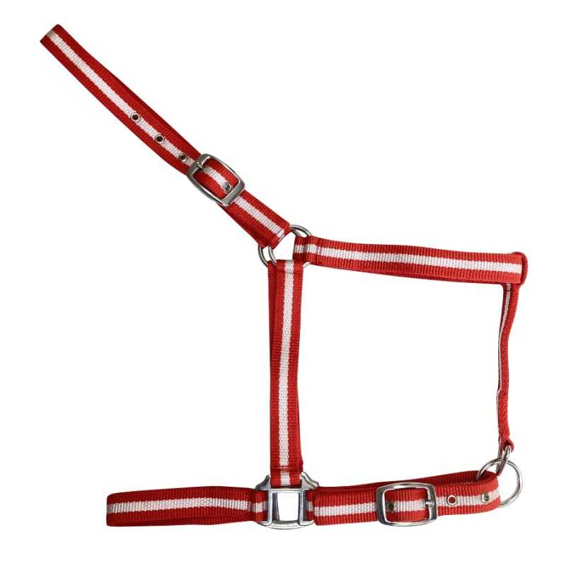 Cabezada de Nylon Sencilla para Caballo | Ajustable con Hebillas - Tienda Hípica Online | D'Hispania ®