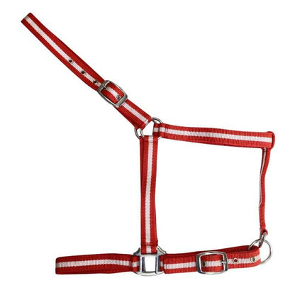 Cabezada de Nylon Sencilla para Caballo | Ajustable con Hebillas - Tienda Hípica Online | D'Hispania ®