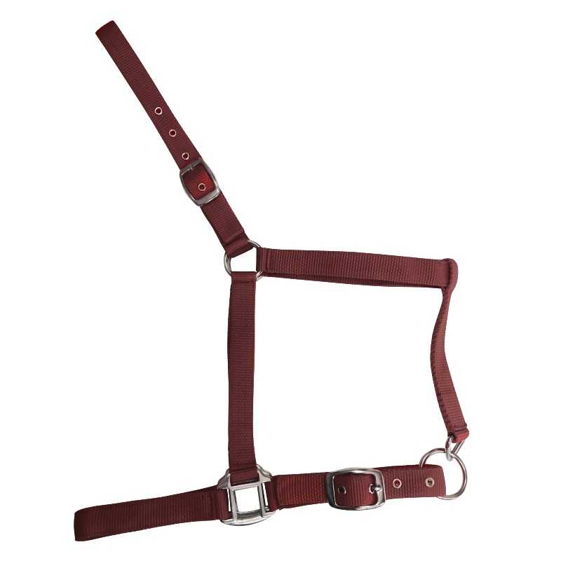 Cabezada de Nylon Sencilla para Caballo | Ajustable con Hebillas - Tienda Hípica Online | D'Hispania ®