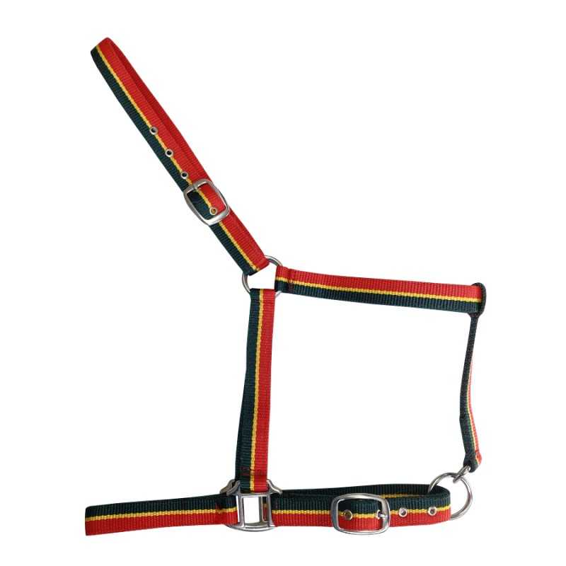 Cabezada de Nylon Sencilla para Caballo | Ajustable con Hebillas - Tienda Hípica Online | D'Hispania ®