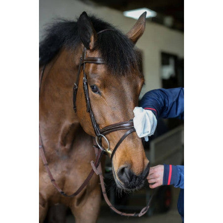 Guante limpiador de cuero Belvoir C&D en uso sobre la brida de un caballo
