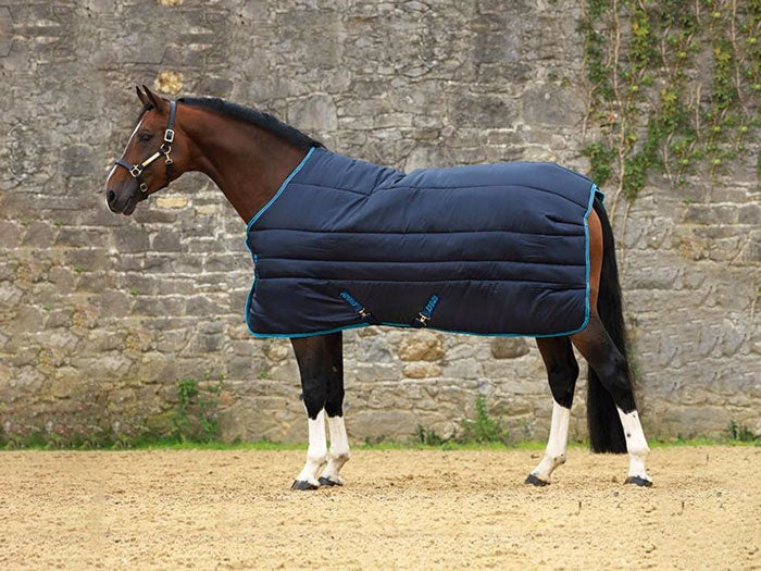 como-elegir-una-manta-para-mi-caballo-este-invierno-2.jpg