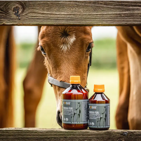 FORAN - FRISKA FOAL 500ML