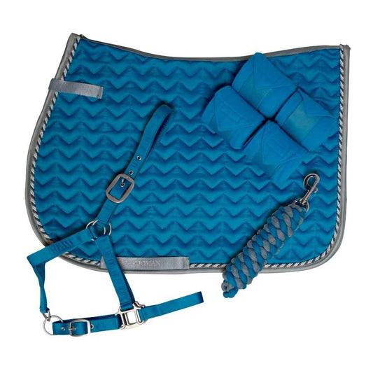 Juego espiga compuesto por mantilla + cabezada + ramal + vendas