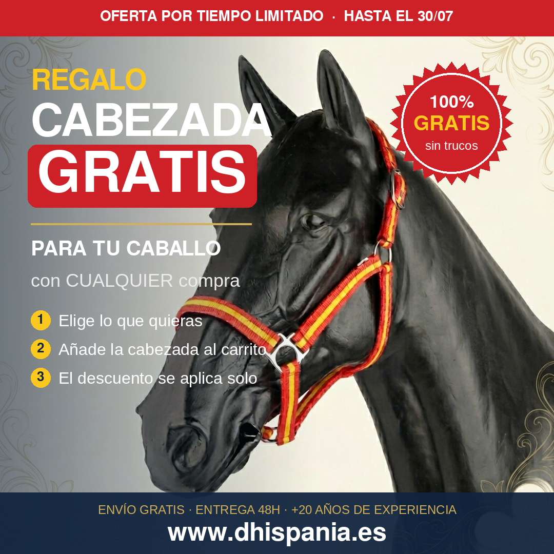 Cabezada de Regalo
