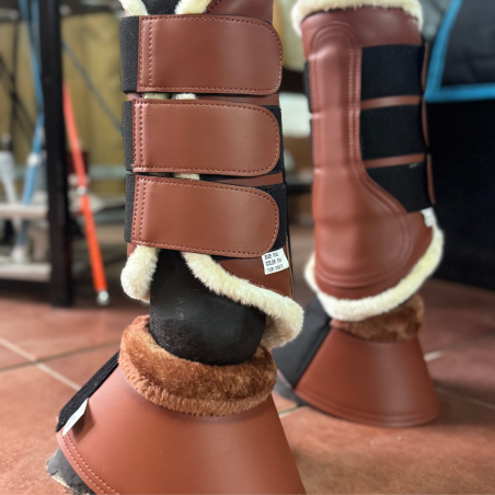 PROTECTOR LOBBY - Tienda Hípica Online | D’Hispania ®